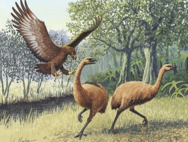 Животные, которые жили в Австралии тысячи лет назад