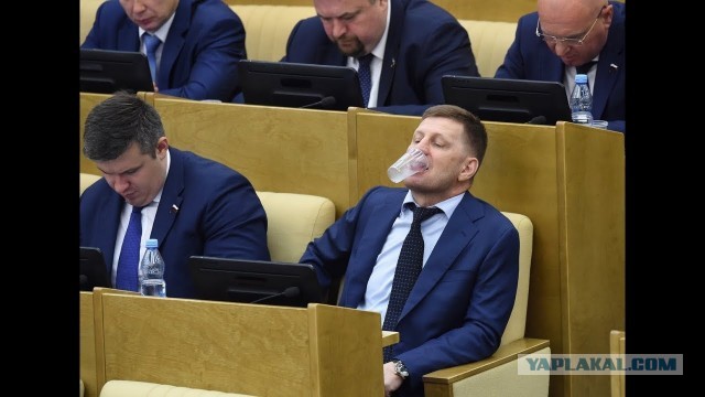 Бизнесмены придумали, как не пустить Юлию Навальную в Госдуму