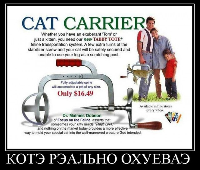 Как отключить кошку