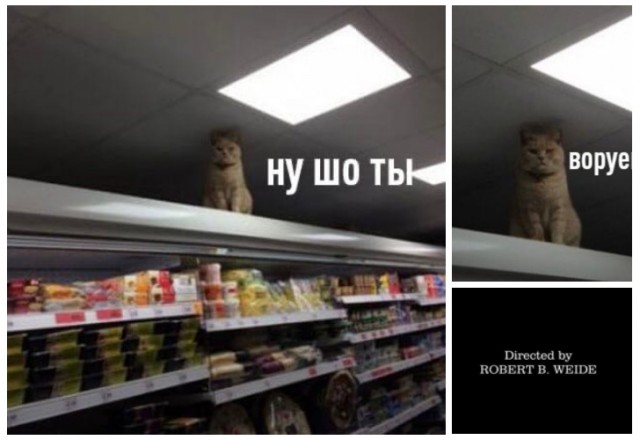 Кретинизмы из ЛМ и ЛЩ 21.02.21
