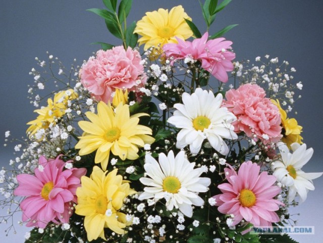 Задротам посвящается