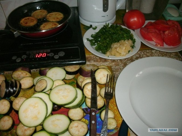 Пятничные посиделки на теплотрассе ©