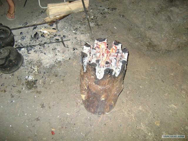 Дача, грибы, мясо, овощи.