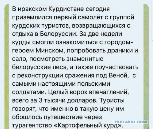 Весёлый полтишок 26.11
