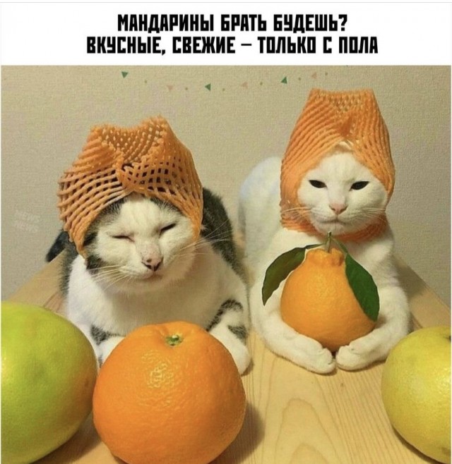 Картинки и мемы для настроения 13.12.2021
