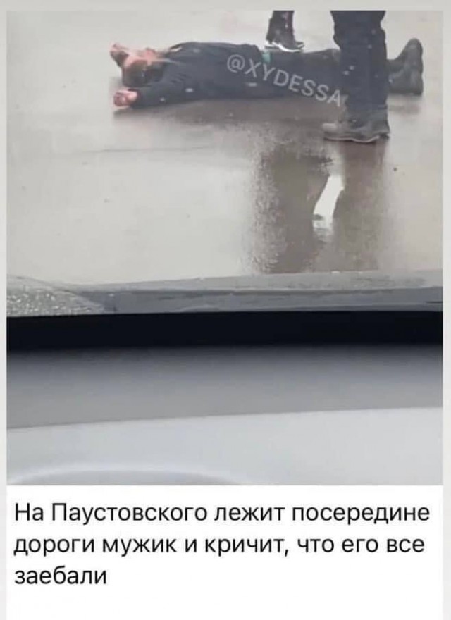 Всяческие картинки 24.12.2021