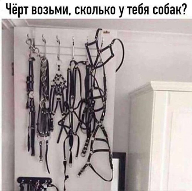 Четверг, а значит пора начинать деградировать...
