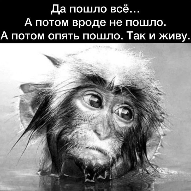 Немного картинок и прочей хреноты Vol. 2
