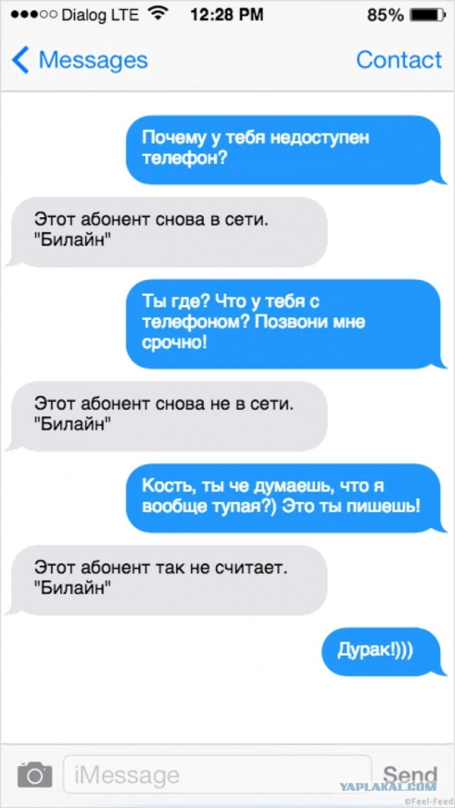 Отзывы, объявления, переписки