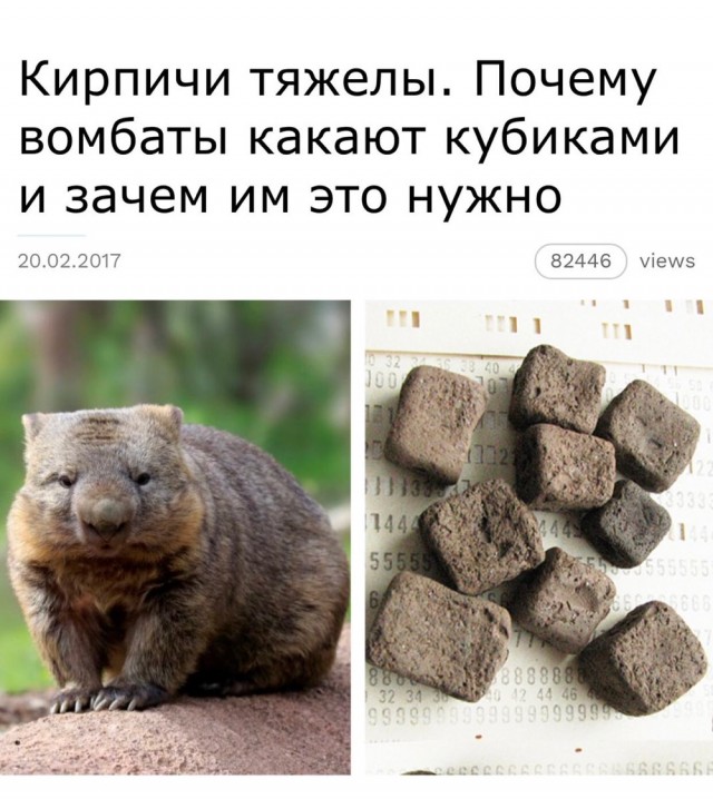 Началось