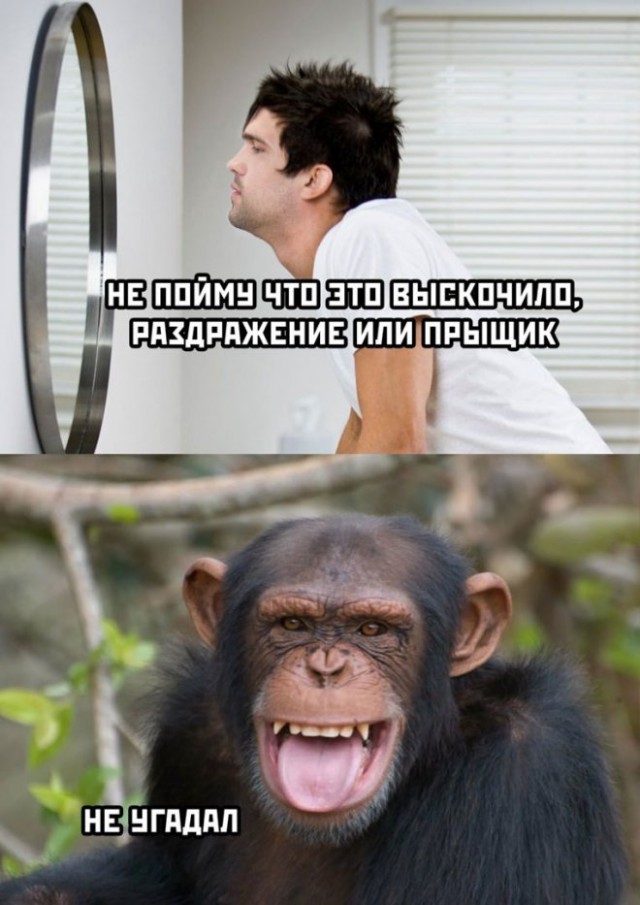 Картинки и мемы для настроения, выходные не за горами