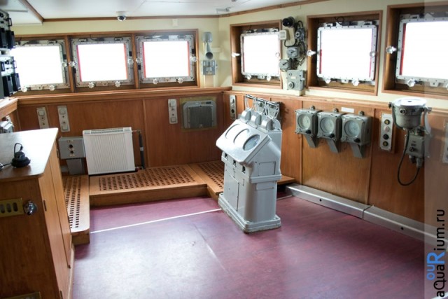 СПб глазами уставшего туриста...