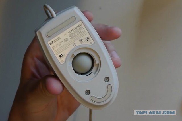 Компьютерное детство 2000-х