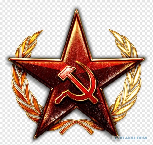 Депутат Госдумы уехал на фронт после учебки.