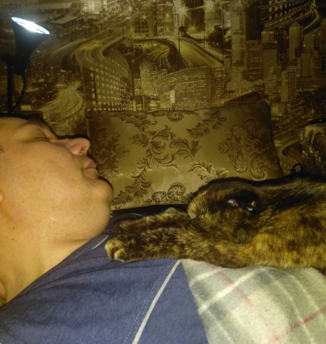 А как вы спите с котиком?
