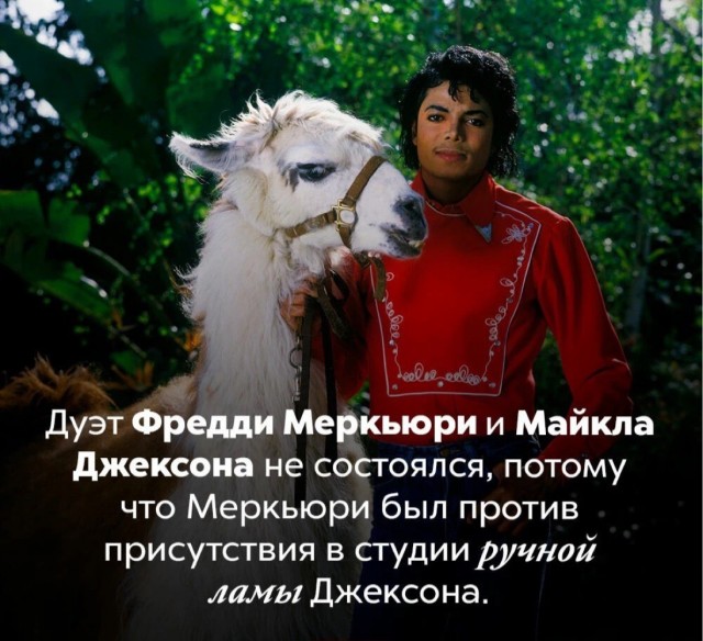Факты. Просто факты 3