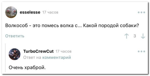 Забавные комментарии из социальных сетей (14.11.22)