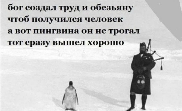 Так себе картинки 25.11.22