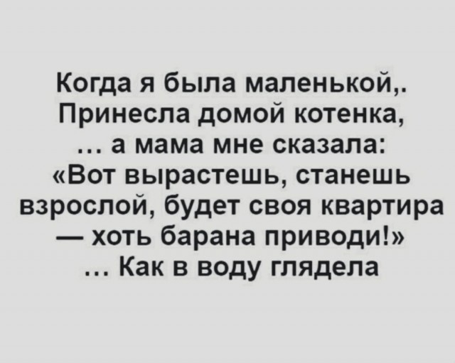 Так себе картинки 07.12.22
