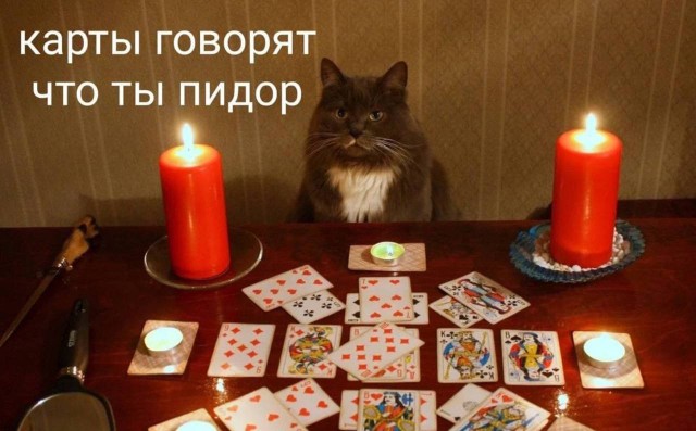 Победная поступь идиотизма по планете – том 6