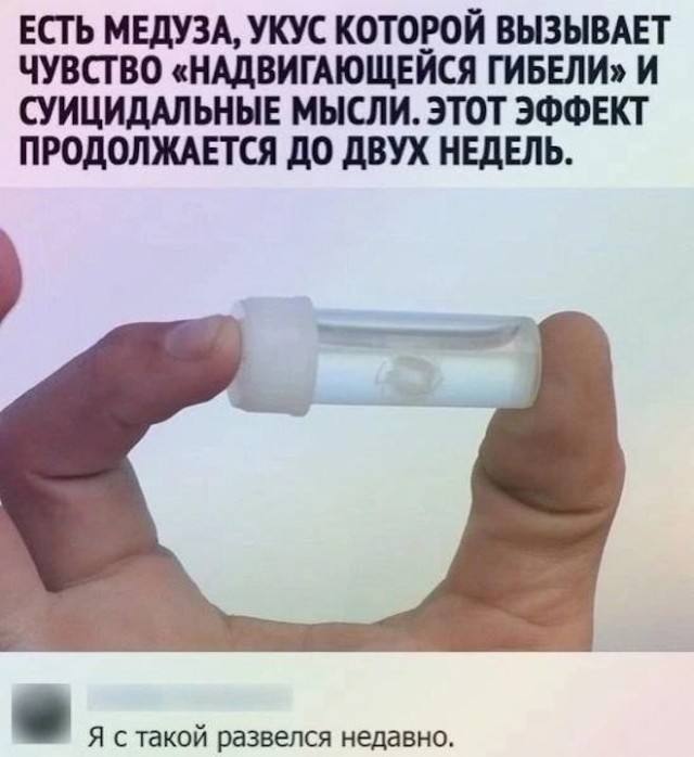 Немного картинок для настроения - 127