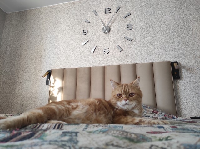 Феня