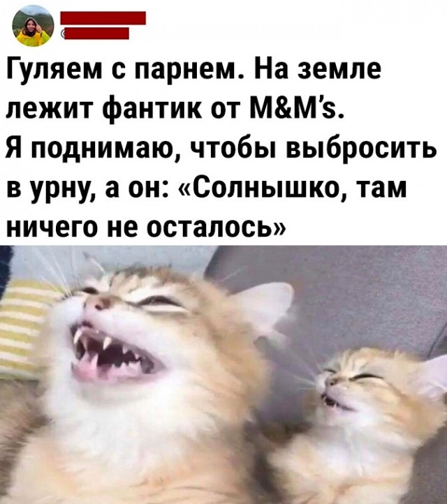 Так себе картинки 14.05.23
