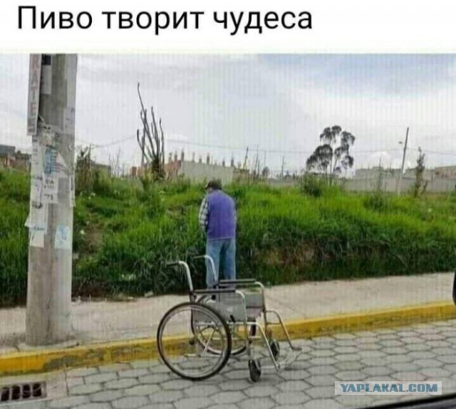 Юмор в картинках и без