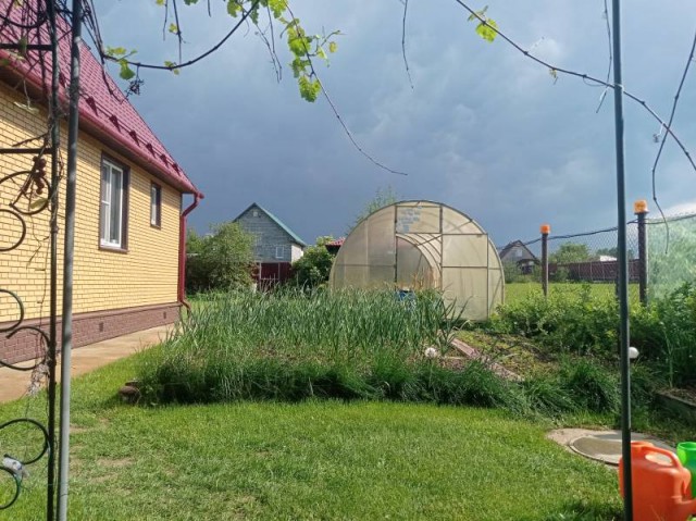 Перед грозой в поле