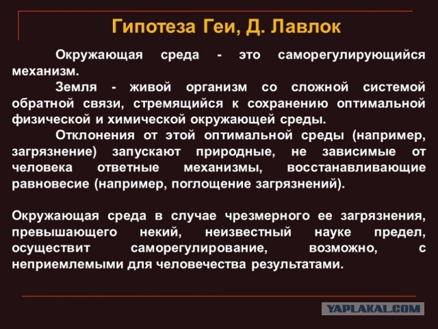 А что если планета Земля это разумный организм? Просто мысли вслух.