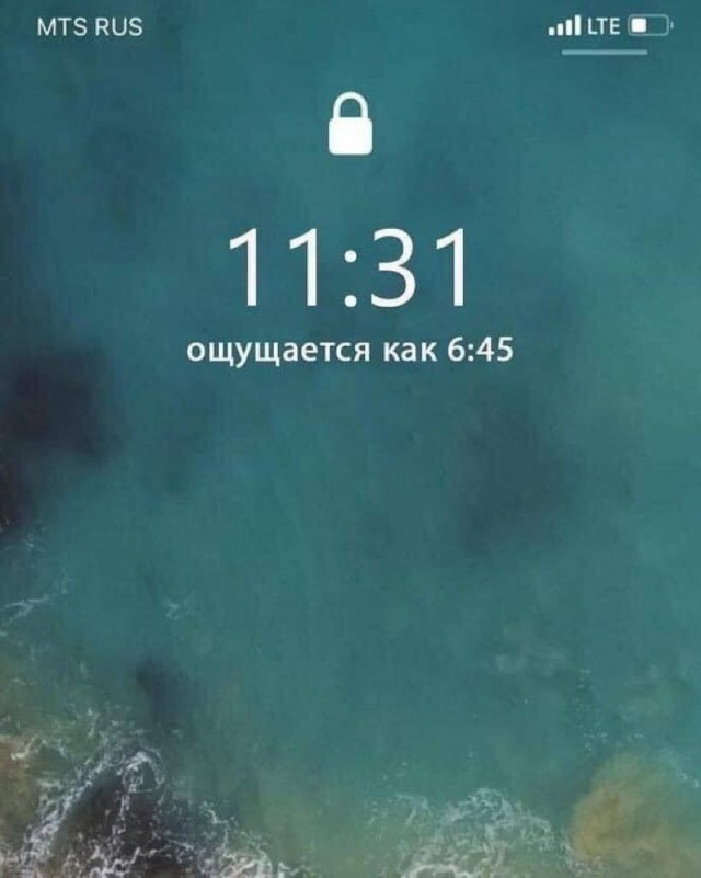 Всего понемногу. От 28.11.23