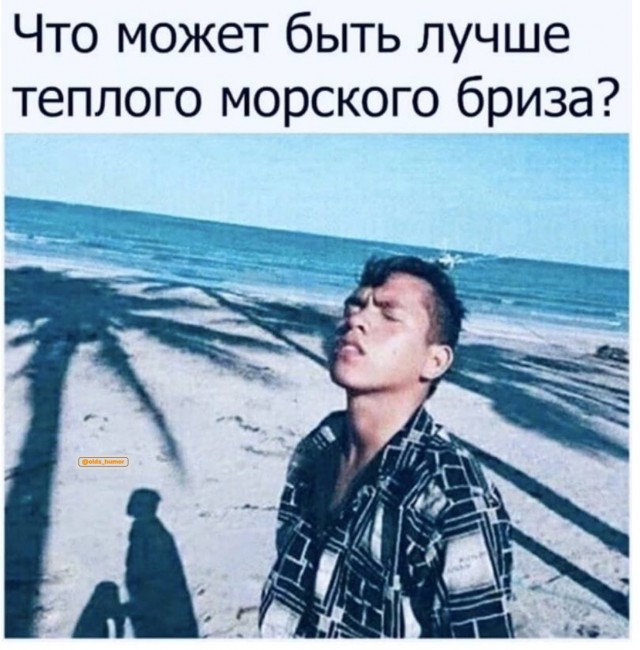 Весёлый полтишок 18.01.24