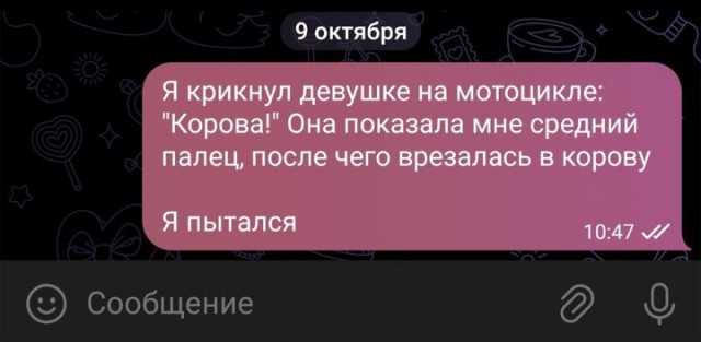 Всего понемногу. От 24.01.24
