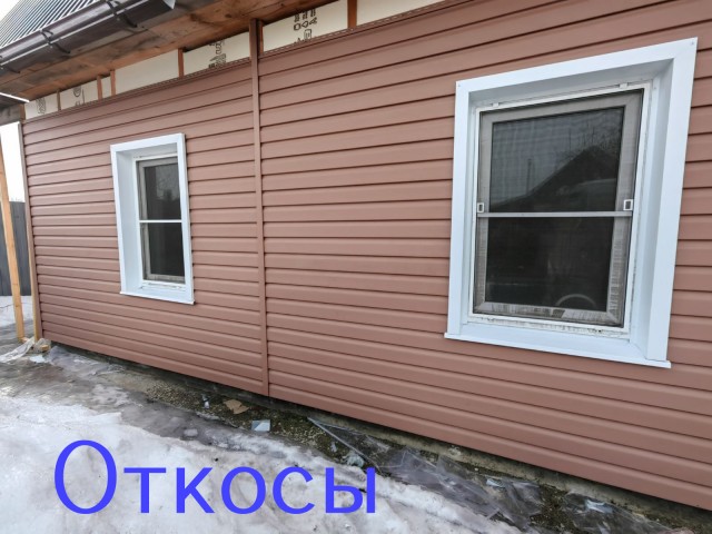 Жизнь домашнего приюта "Котоленд" 428