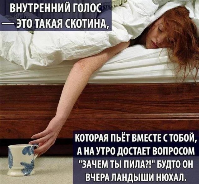 Картинки