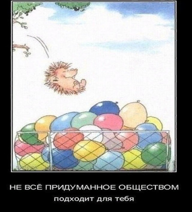 Так себе картинки 24.07.24