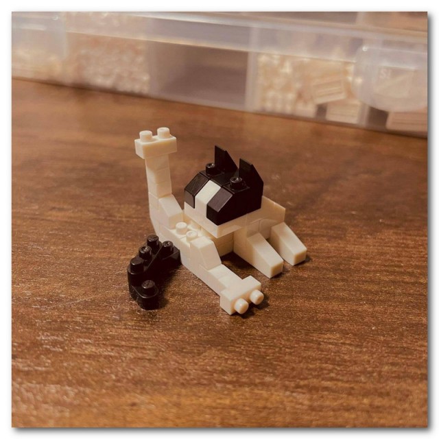 Лего-кот⁠⁠