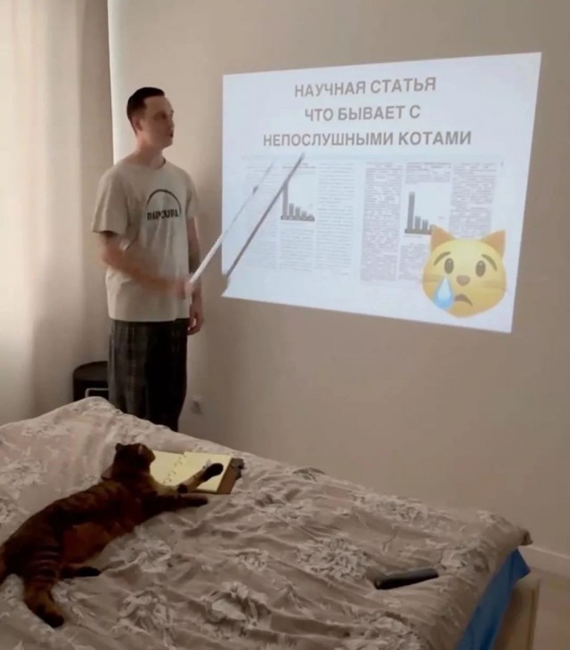 Курс прослушал