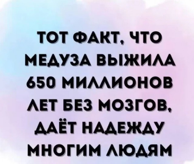 Теперь на ужин макароны...