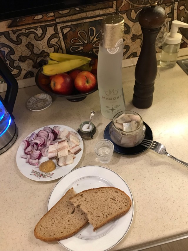 Булгаков о дружбе водки и селедки