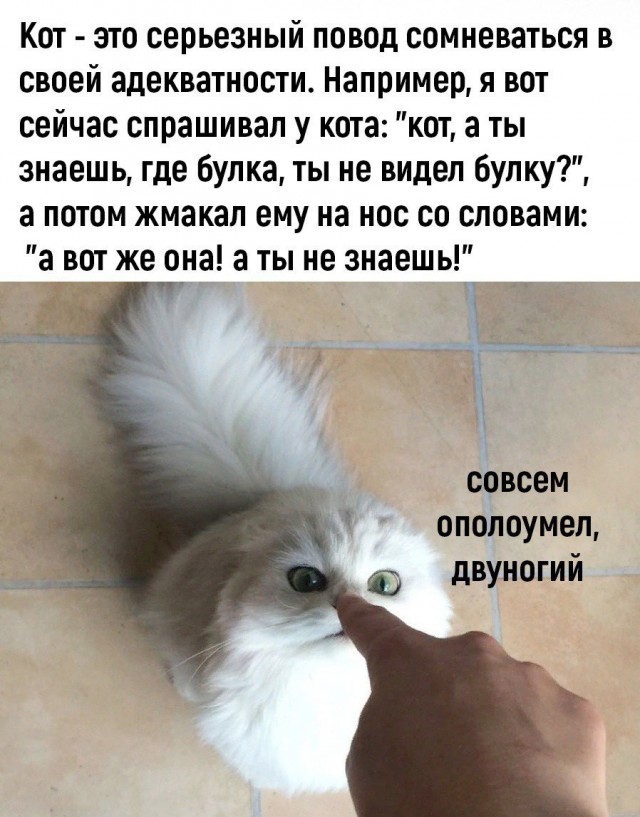 Расскажи мне про море