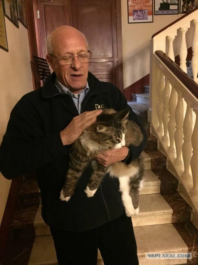 «Помогал в самых сложных историях». В Петербурге умер четвероногий хранитель джаза