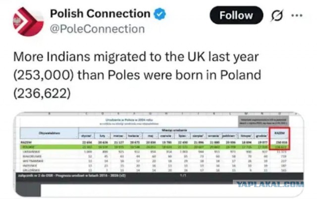 «Развязываю вам руки»