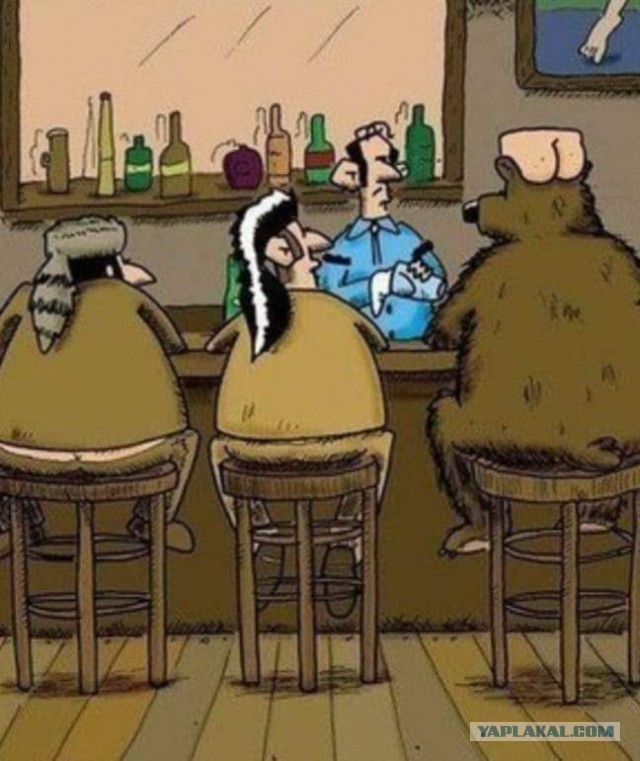 В Румынии медведь растерзал итальянского туриста после селфи с ним