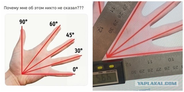 Картинки для деградации-6 (разной степени свежести)