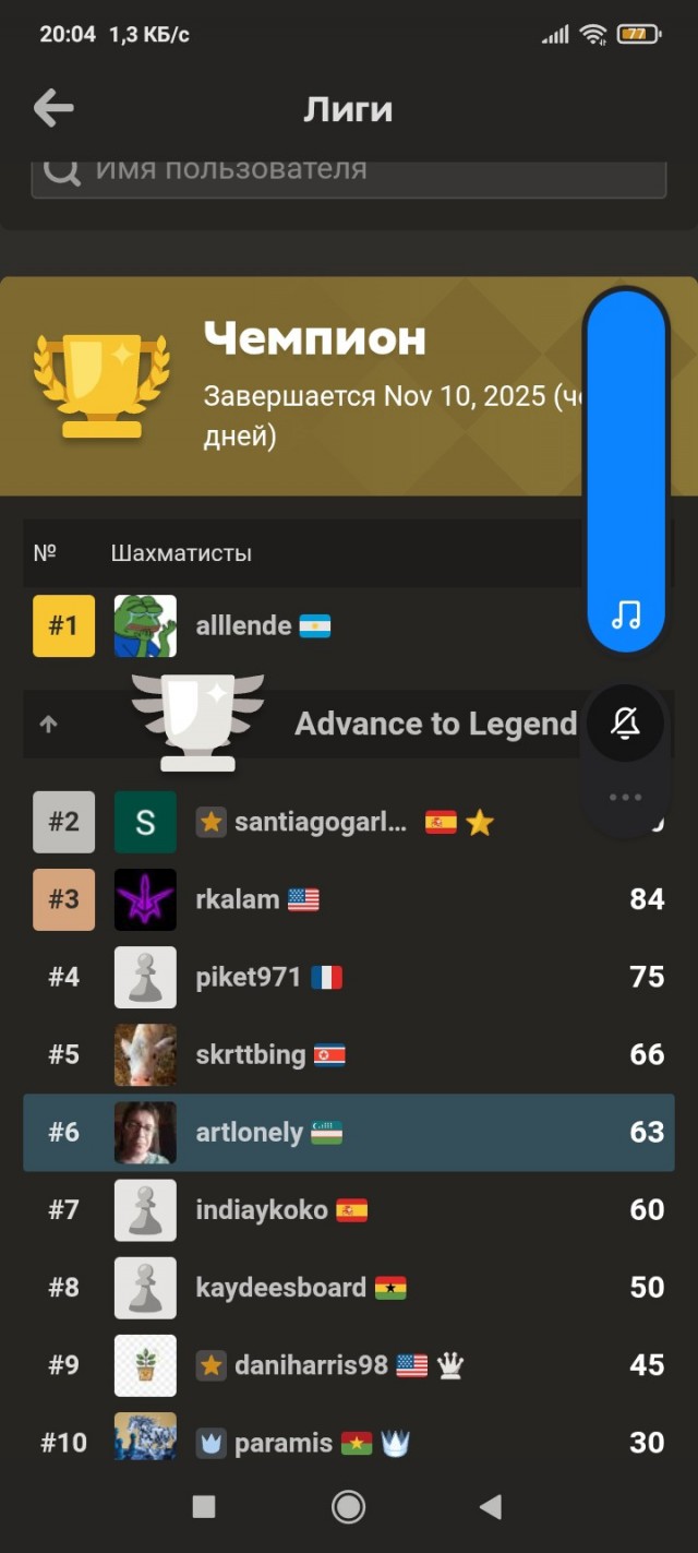 Шахматы