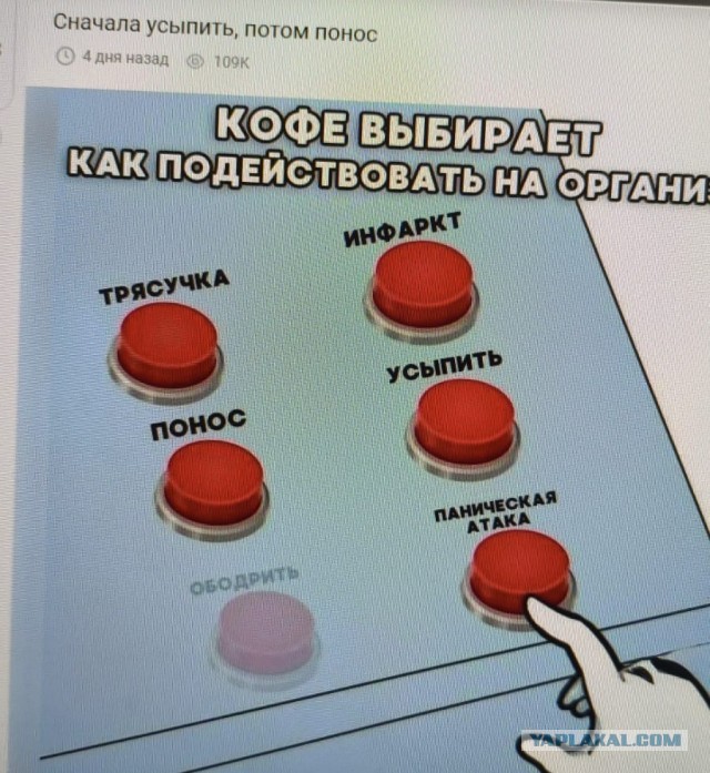 Так себе картинки 19.11.25