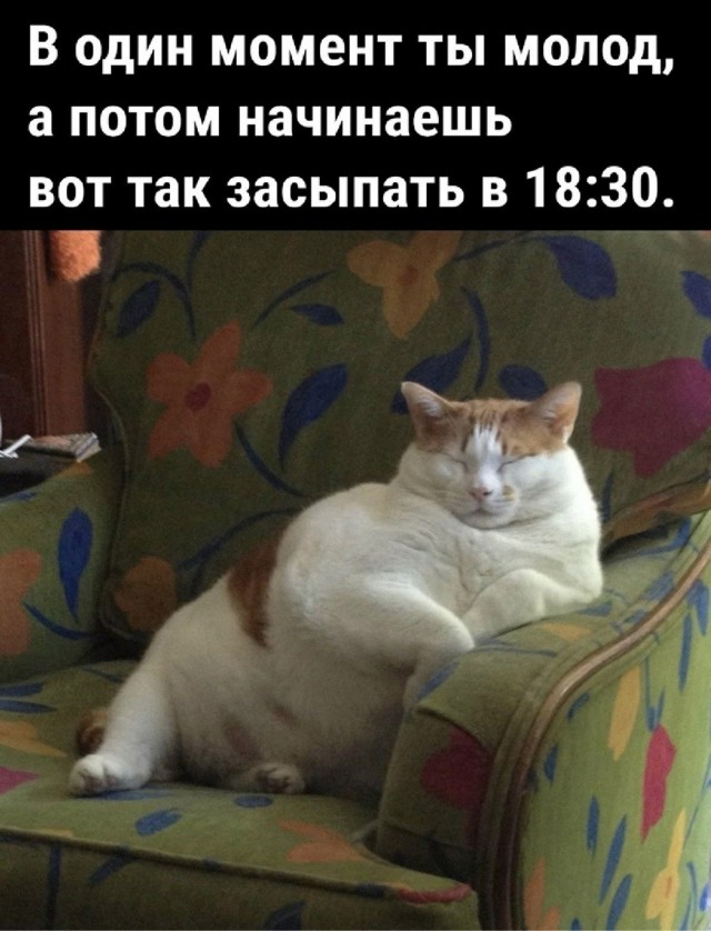 Среды картинки