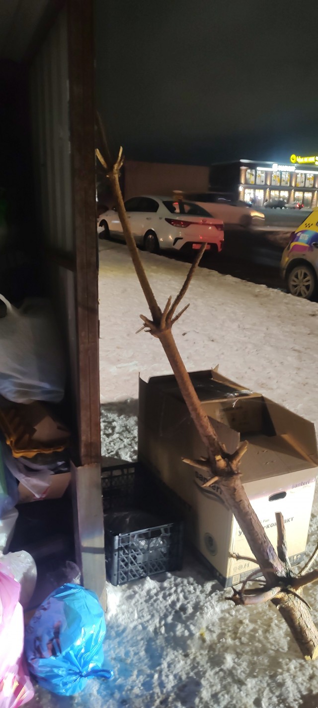 Пять часов до Нового года...