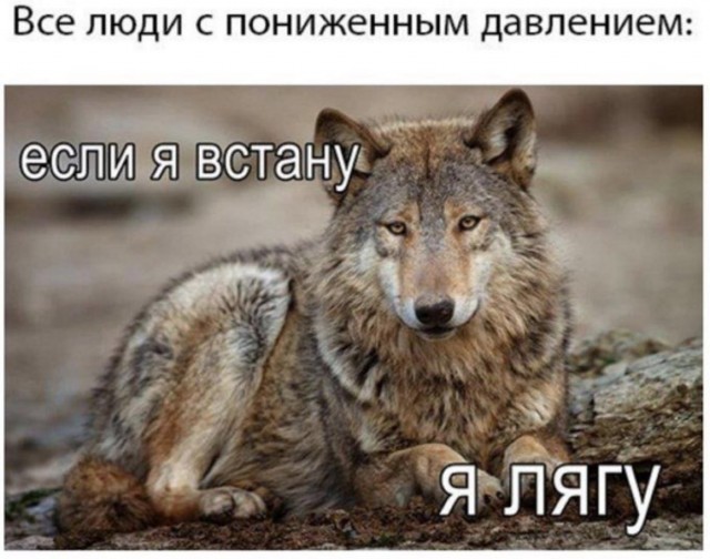 Пятничные картинки